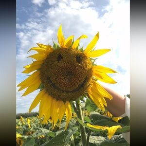 Meet your Posher, Eva